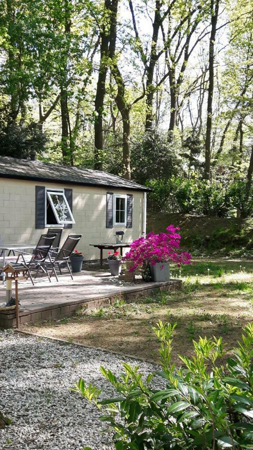 ワーゲニンゲン Chalet Gemヴィラ エクステリア 写真
